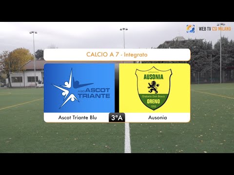 Sintesi Ascot Triante Blu - Ausonia