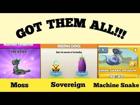 Hatching Moss & Machine snake dragon eggs//Got the sovereign dragon the dragon of the week (DML)