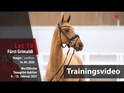 Youngster Online-Auktion Training Lot 10 Fürst Grimaldi Hengst v. Fürst Samarant - Grimaldi
