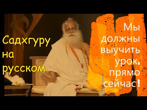 Мы должны выучить урок, прямо сейчас ! Садхгуру на руском.