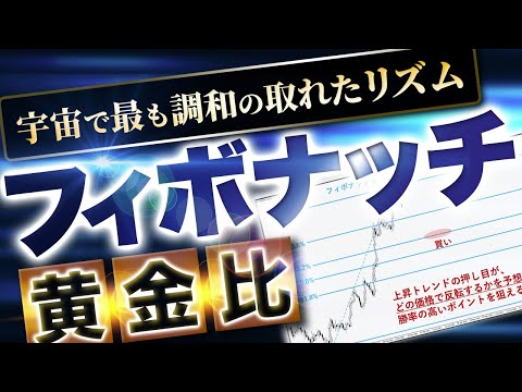 フィボナッチ ヒープについて詳しく解説