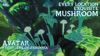 Avatar Frontiers of Pandora • Every Mushroom Location Guide (Exquisite)