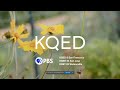 PBS Kids Program Break 2025 KQED