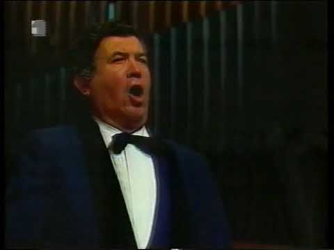 Vladimir Ruždjak, Gle kako divno sjaji grad, Zajc Zrinjski