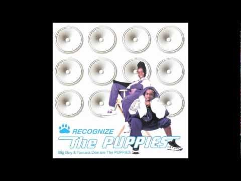 The Puppies - B.I.N.G.O.