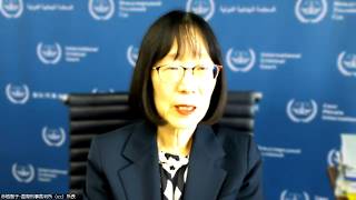 【ノーカット】制裁受ける理由全くない　ＩＣＣ赤根所長　日本に「最大限の努力」要請