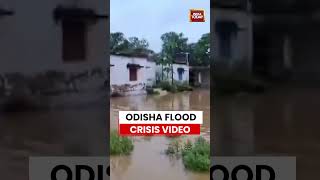 Download lagu Viral Video: Odisha Flood Alert: River Water Enters Villages in Bhadrak #shorts #odisha #flashflood mp3