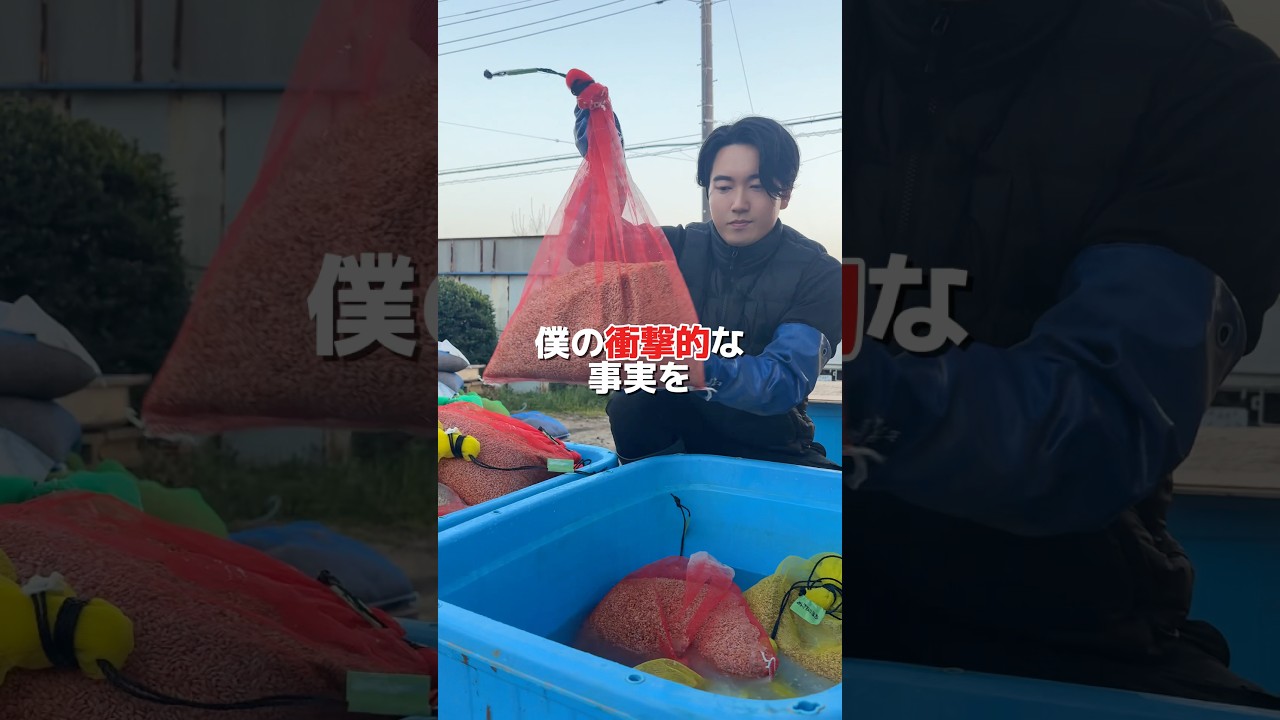 僕の衝撃的な事実をお伝えします🌾 #お米 #農業 #米農家 #脱サラ