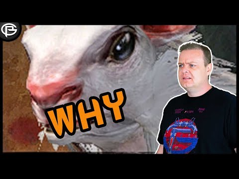 Preach Cant Escape the Rat in Guild Wars 2