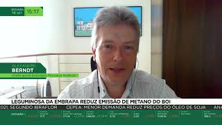 Miniatura do vídeo