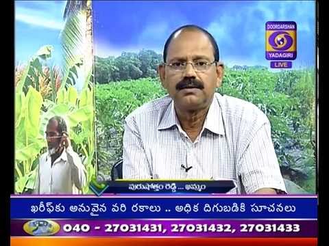 Raithunestam dt 01:07:2016