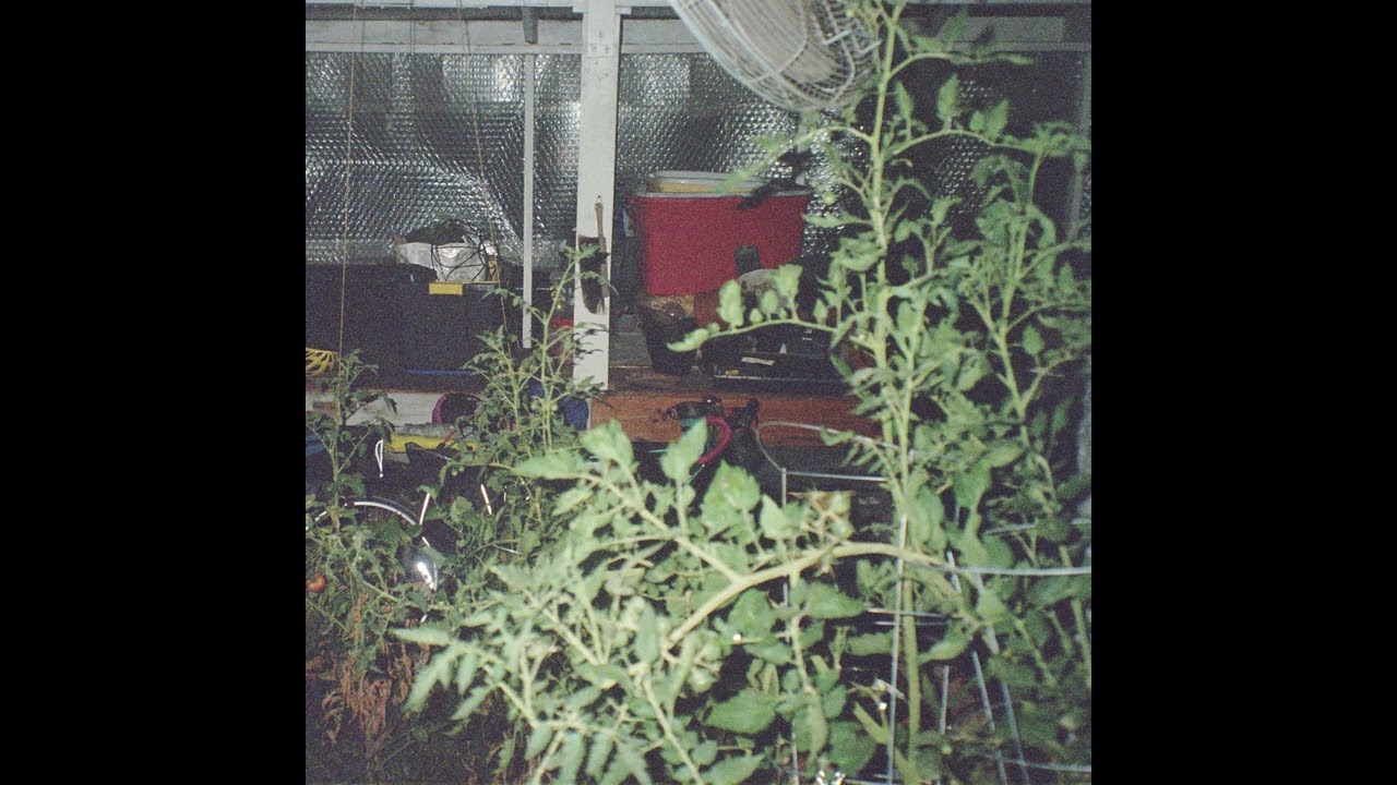 Air Mail - Wide Awake (a.m.)