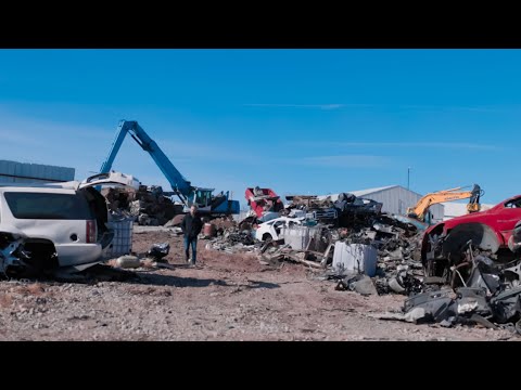 Witness21 Editor  2025 01 15