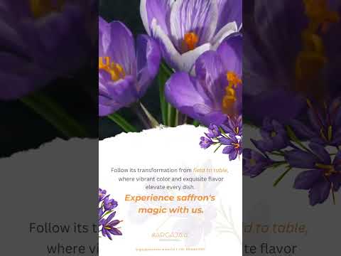 Krupanidhi Saffron - 100gms B2B Pack