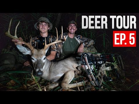 TED'S PUBLIC LAND KENTUCKY BUCK!  -  DEER TOUR E5