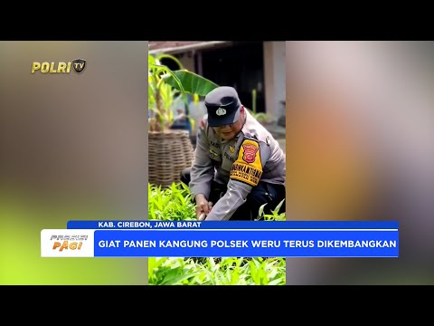 POLSEK WERU PANEN KANGKUNG DUKUNG PROGRAM KETAHANAN PANGAN