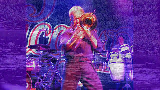 Southern California Purples ,,Chicago.................tsrgp