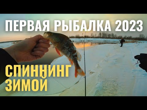 Приехали на разведку и открыли сезон зимнего спиннинга! Первая рыбалка в 2023 году!