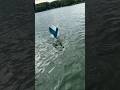 Real Life Little Mermaid ‍ ️
