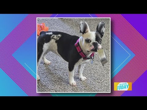 Zipper is ready for dinner and looks a little hangry - YouTube