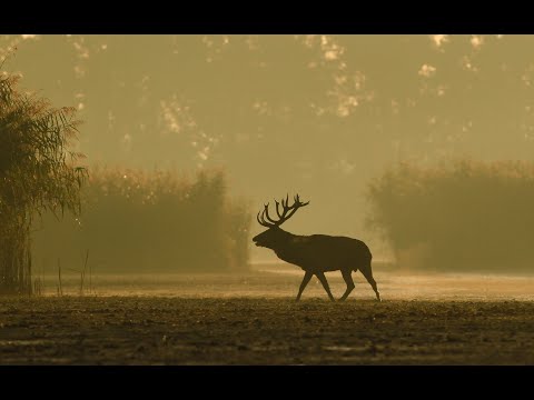 Jesień w Dolinie Baryczy - Dariusz Grzelczak