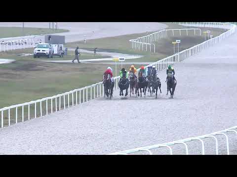 2019.11.10. 05. futam - BÉNYI ZOLTÁN "PINOKKIO" EMLÉKVERSENY (IV.kat.) (szintetikus pálya)