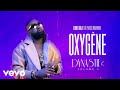FERRE GOLA OXYGÈNE Visualizer Ft PIKASS MBAYAMBO
