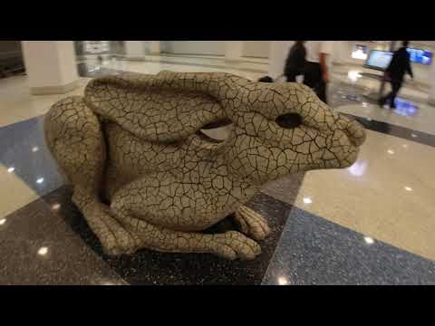 LAS - FAA 空港図.png