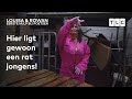 Studenten worden aan het werk gezet door Louisa & Rowan