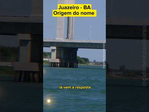 Juazeiro - a origem do nome da cidade 🔍