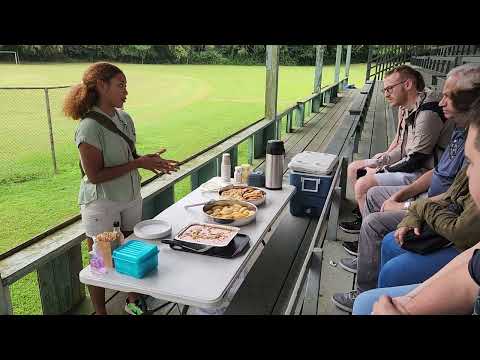 Panamanian breakfast