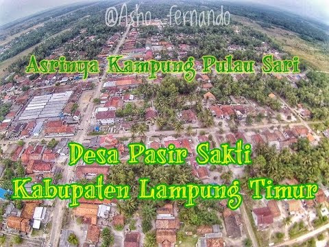 Sejuknya Pagi Dikampung Pasir Sakti Lampung Timur