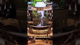 MSC Seascape - Seascape Bar #shorts