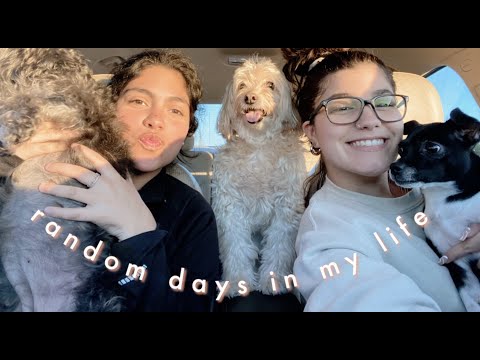 random vlogs // piercing change, ice cream, eyebrow threading