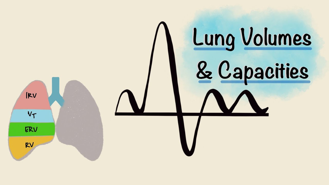 Lung Volumes and Capacities | Spirogram | Spirometry | Respiratory Physiology