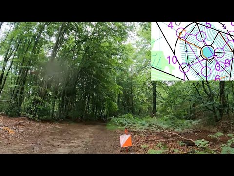 MTBO: Mountainbike-Orienteering, Sprint, World Master Series M55, Fontainebleau 🇫🇷, June 5 2022