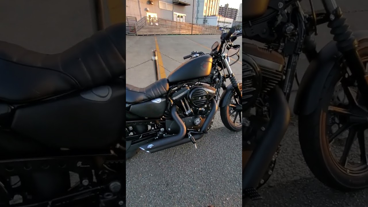 Harley IRON  883 2020 idle sound with V&H shortshots straight pipe