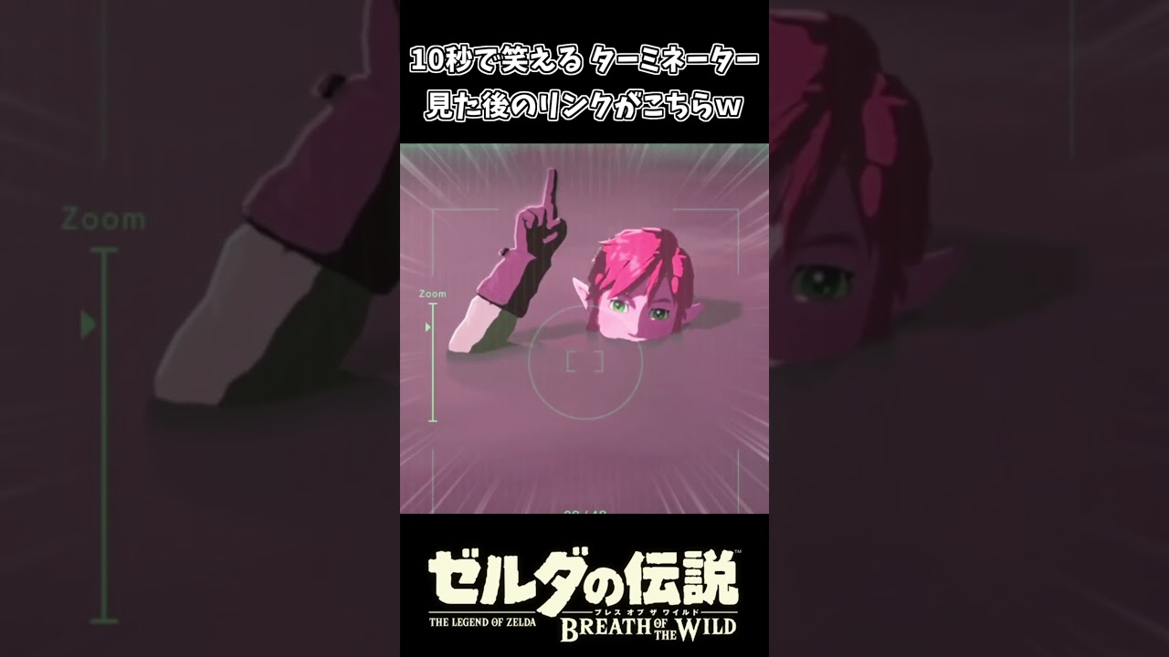 10秒で笑える ターミネーター見た後のリンクｗｗ【ゼルダの伝説 ブレス オブ ザ ワイルド】