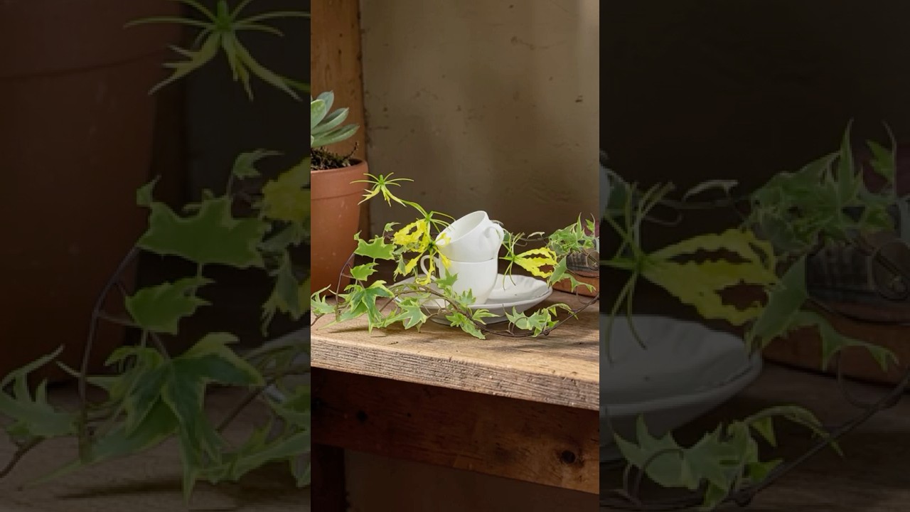 ㊙️カップでお洒落なお花の飾り方 #生け花 #shorts