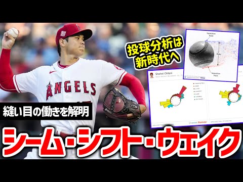 エリアス・マグナス・フライズについて詳しく解説