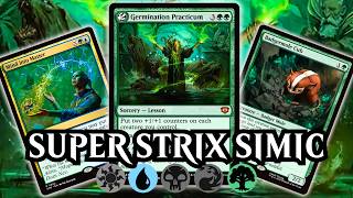 Strixhaven Gave Simic HUGE NEW Cards | MTG Arena Standard