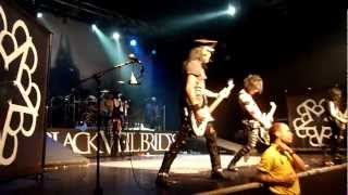 Black Veil Brides - Nobody&#39;s Hero (Live) [Kerrang! Tour 2013]