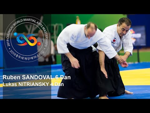 Demonstration of Experts in Aikido - Ruben Sandoval at World Martial Arts Masterships in Korea