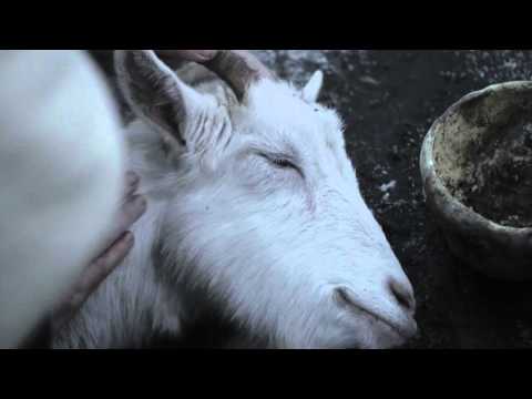 Thumbnail for video: Kurši filmas treileris