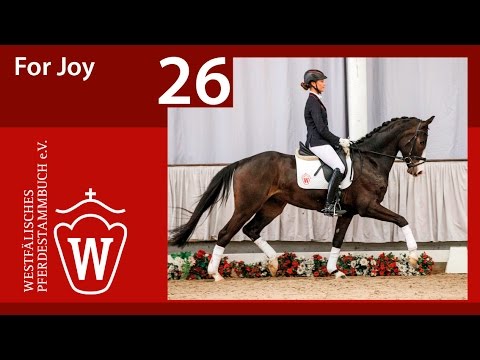 26 For Joy Wallach v. Feedback - Donnerbube II