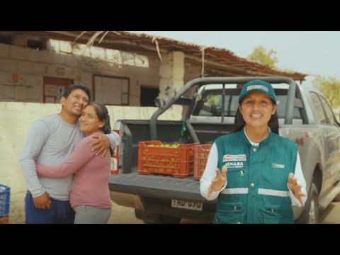 Campaña de control de la mosca de la fruta, video de YouTube