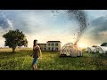 The Swarm 2020 Full Movie Explained English Movie Movieexplained