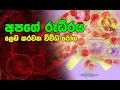 hiru-medical-center-28-08-2019