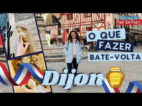 #MARIPELAFRANÇA : ROTEIRO 1 dia em DIJON!
