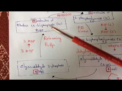GLYCOLYSIS OR EMP PATHWAY BY PHANINDRA GUPTHA